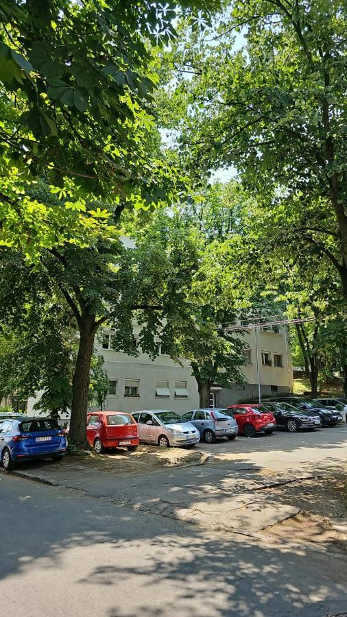 דירות בלגרד Apartman Maja מראה חיצוני תמונה