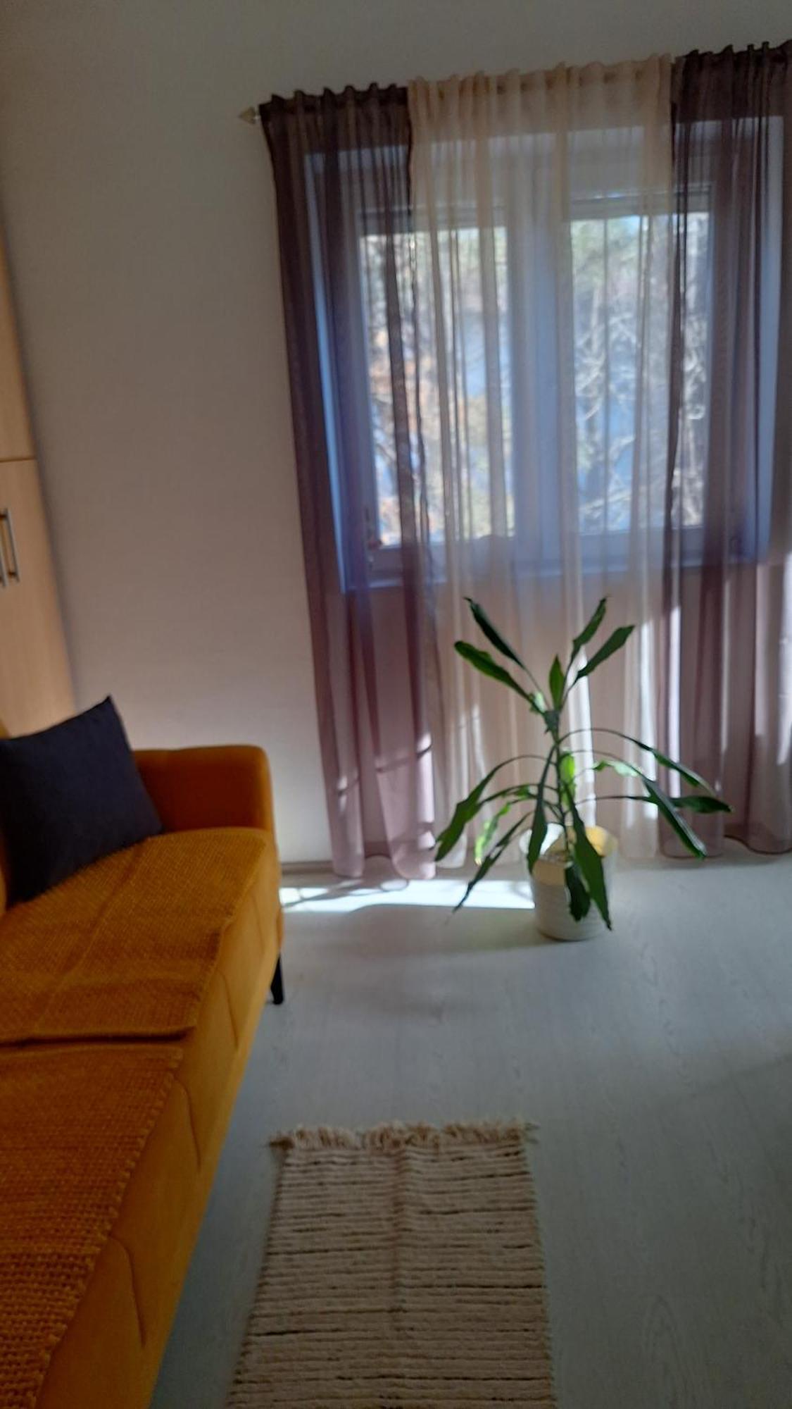 דירות בלגרד Apartman Maja מראה חיצוני תמונה