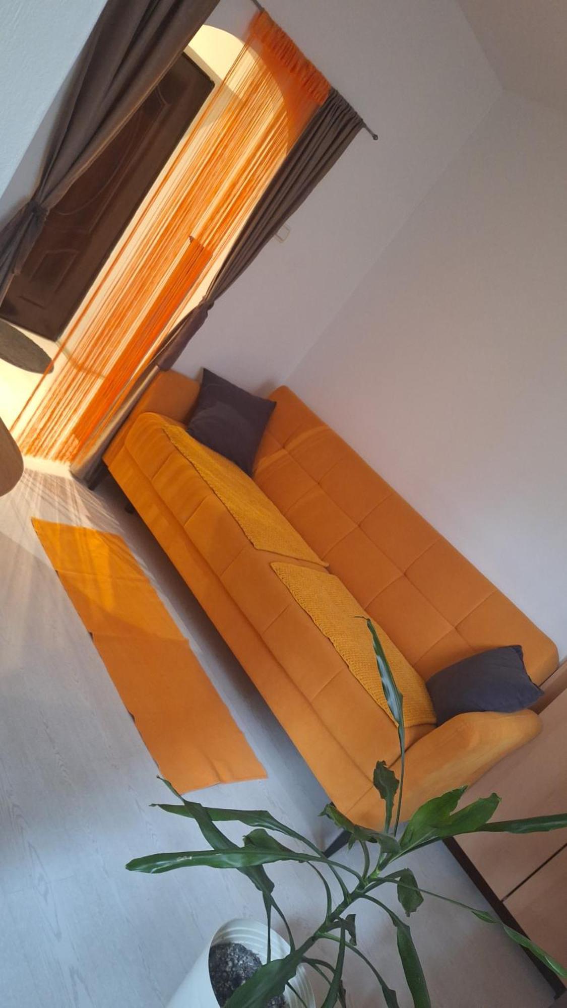דירות בלגרד Apartman Maja מראה חיצוני תמונה