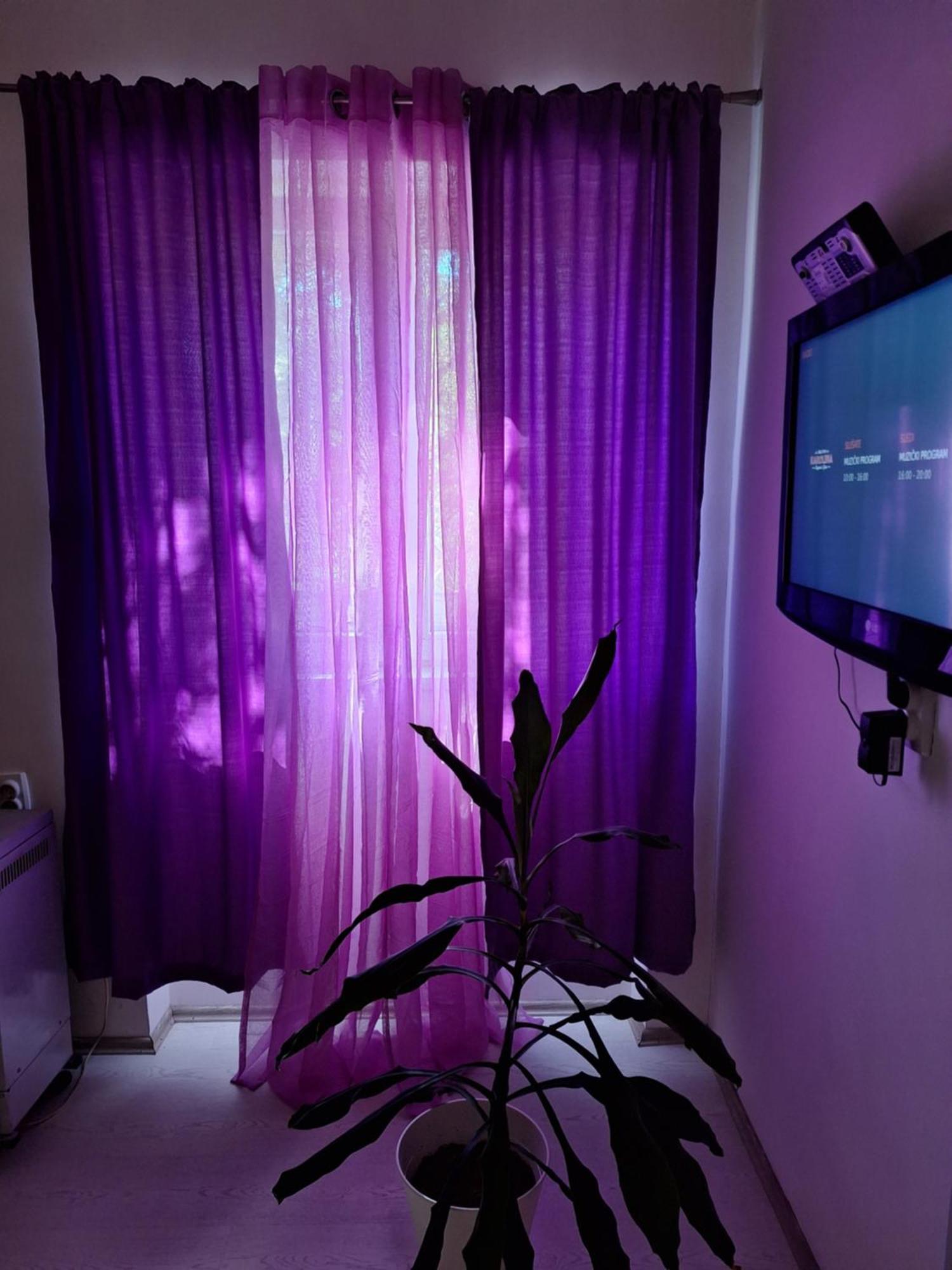 דירות בלגרד Apartman Maja מראה חיצוני תמונה