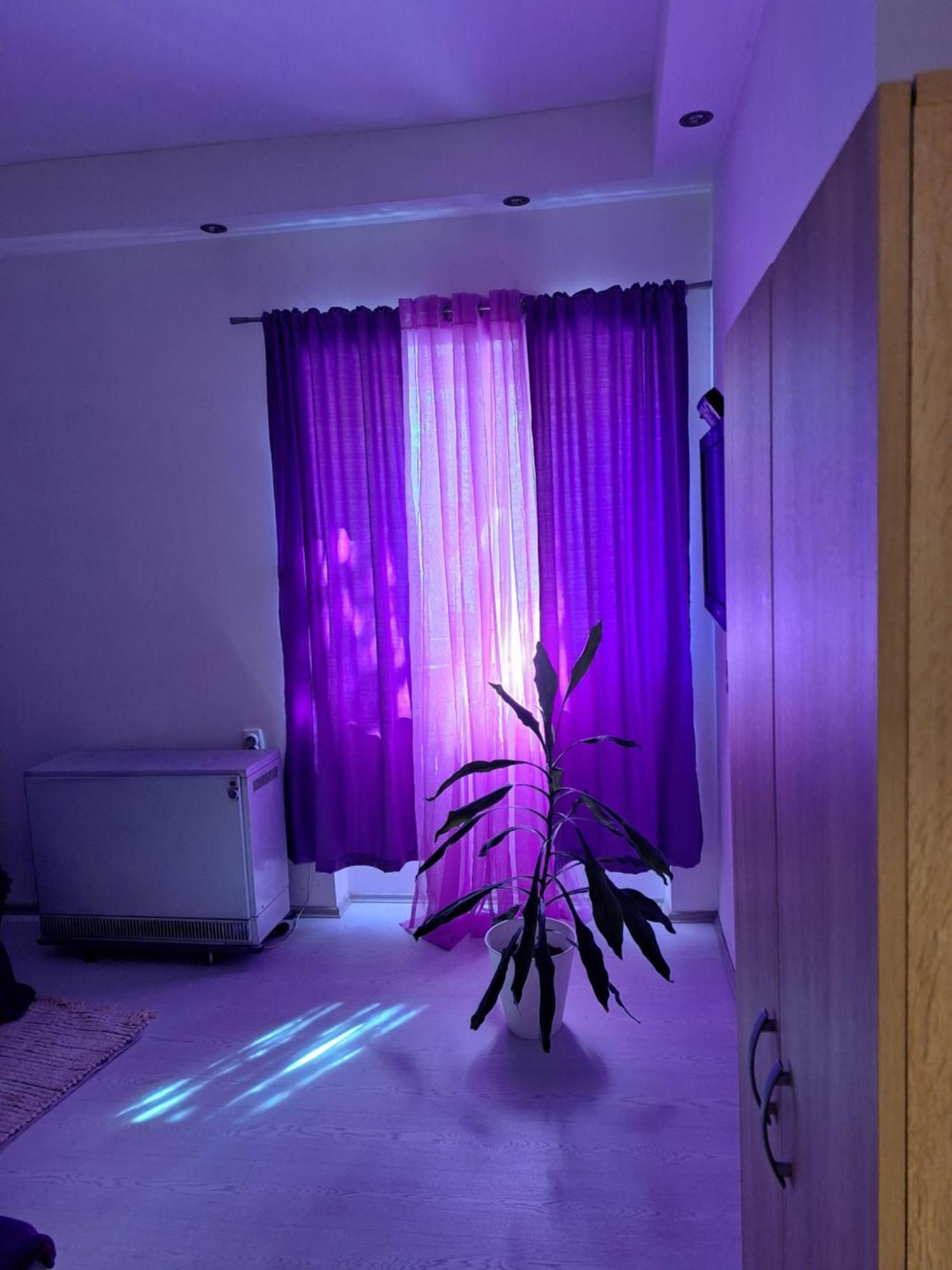 דירות בלגרד Apartman Maja מראה חיצוני תמונה